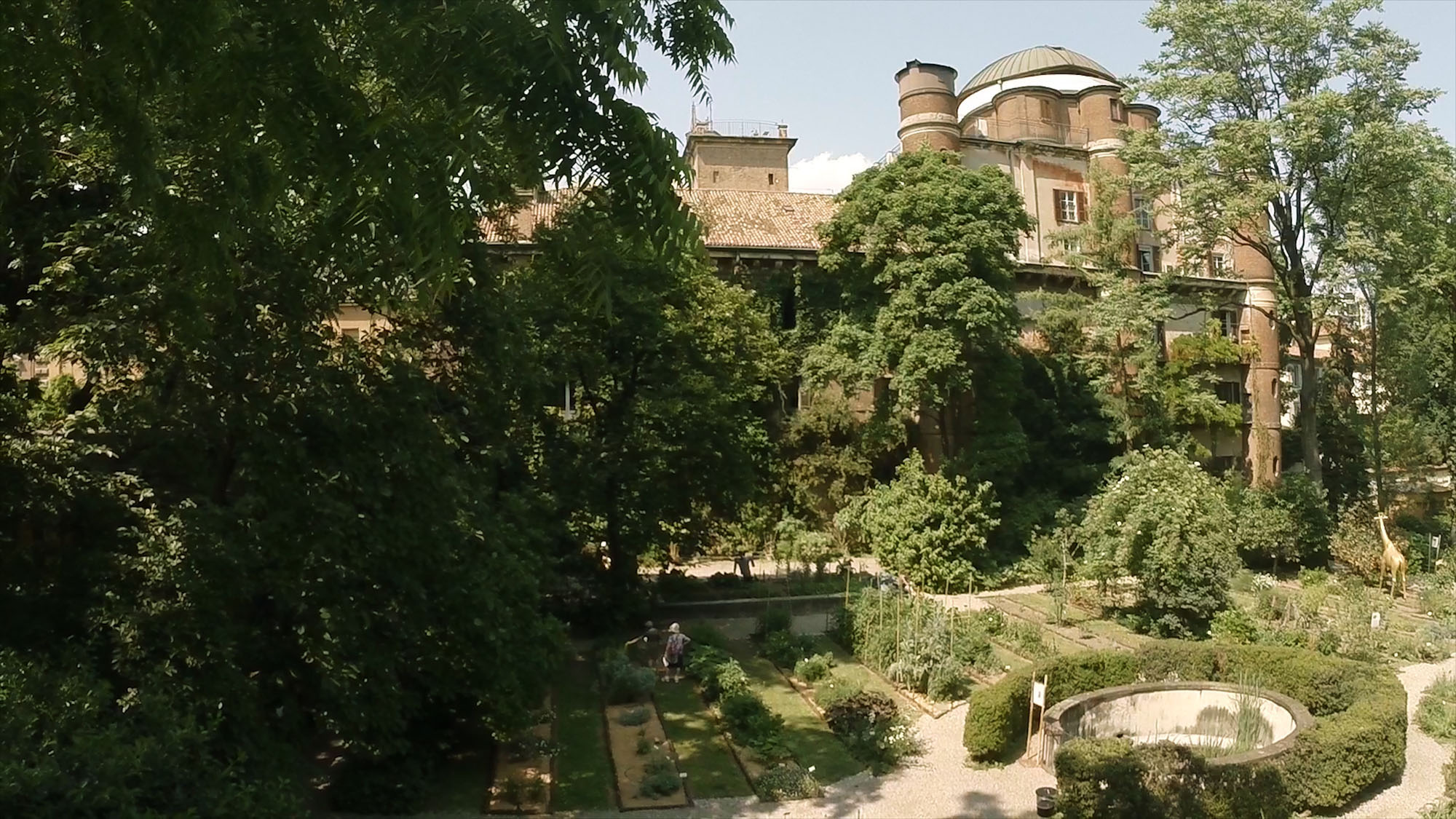 Orto Botanico di Brera - Orti Botanici Unimi